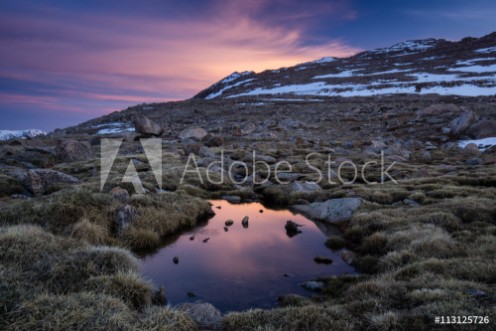 Picture of Sunrise on The TundraMt Evans Colorado